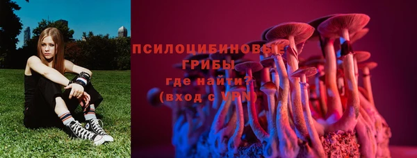 тгк Абинск